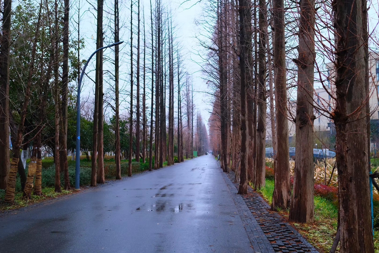 [99新]Apple iPhone 13 午夜色 128GB 苹果13 全网通5G 双卡双待 二手手机 国行正品 无磕碰晒单图