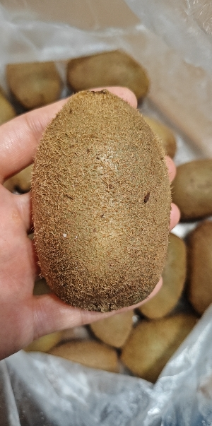 [熊猫鸟]陕西米良绿心猕猴桃 当季新鲜水果 净重8.5斤 大果 单果90-110g 新鲜水果晒单图