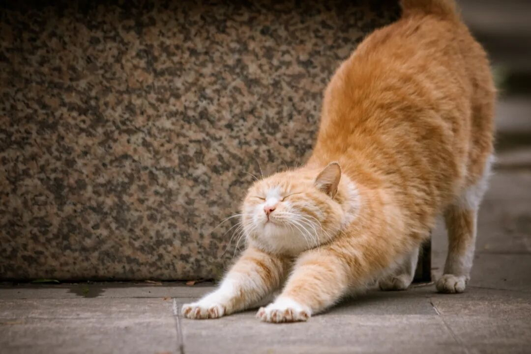 海氏海诺 150支双头棉签 皮肤伤口清洁掏耳朵尖圆双头棉棒棉签晒单图