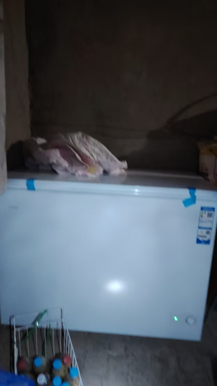 海尔冰柜300升无需除霜一级能效家商两用单温大冷柜 大容量卧式超低温节能省电减霜大冷冻柜可冻420斤肉晒单图