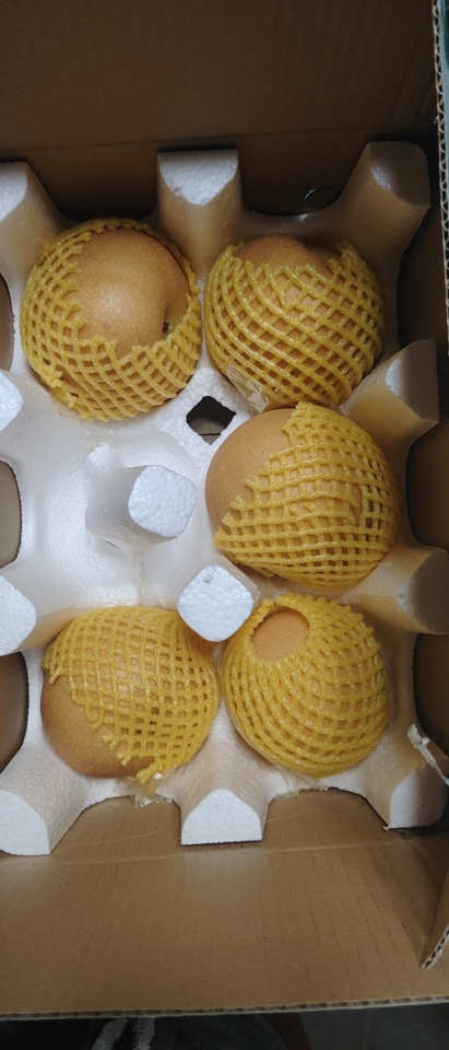 彩箱装[熊猫鸟]新鲜山东秋月梨 净重4.5斤单果250g+ 新鲜当季水果 现摘现发 香甜可口晒单图