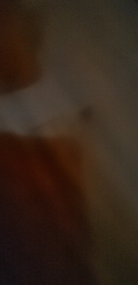 东芝空气循环扇F-DSC650CN(W)晒单图