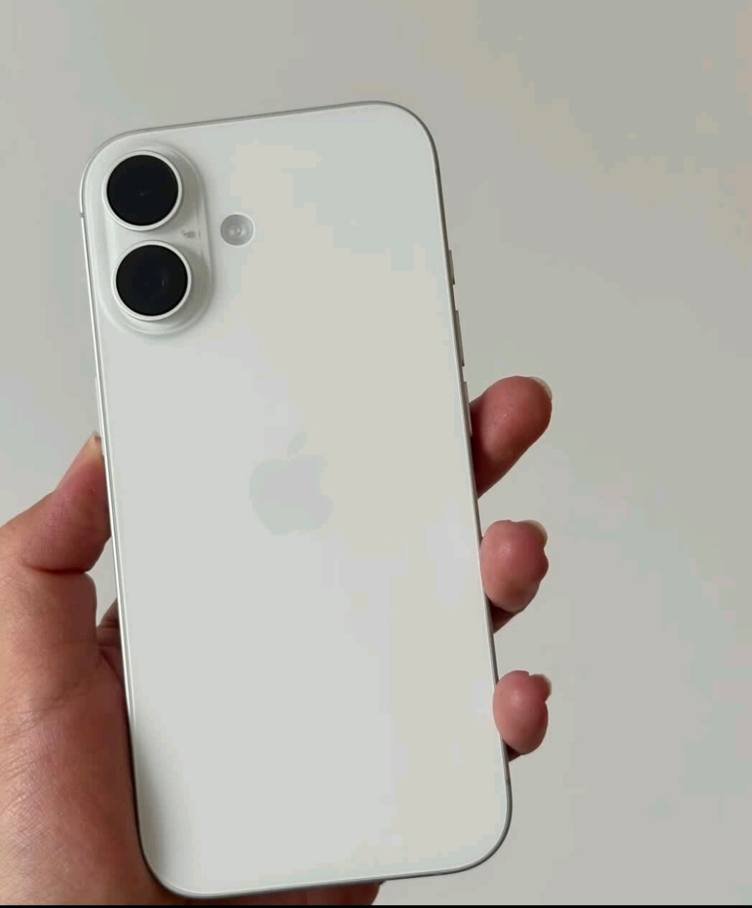 Apple iPhone 17 256G 白色[需现场签收激活]5G全网通手机 全新正品国行晒单图