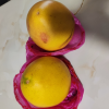 彩箱装[西沛生鲜]新鲜三红蜜柚子 4.5斤共2个装 新鲜柚子水果 红心柚晒单图