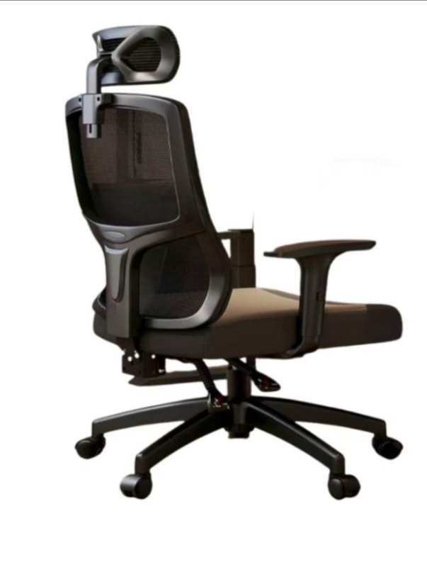 办公椅人体工学椅晒单图