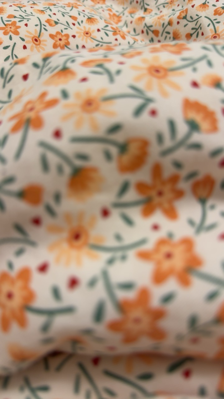 臻味-235g越南紫衣腰果超级大果越南W160级零添加坚果晒单图