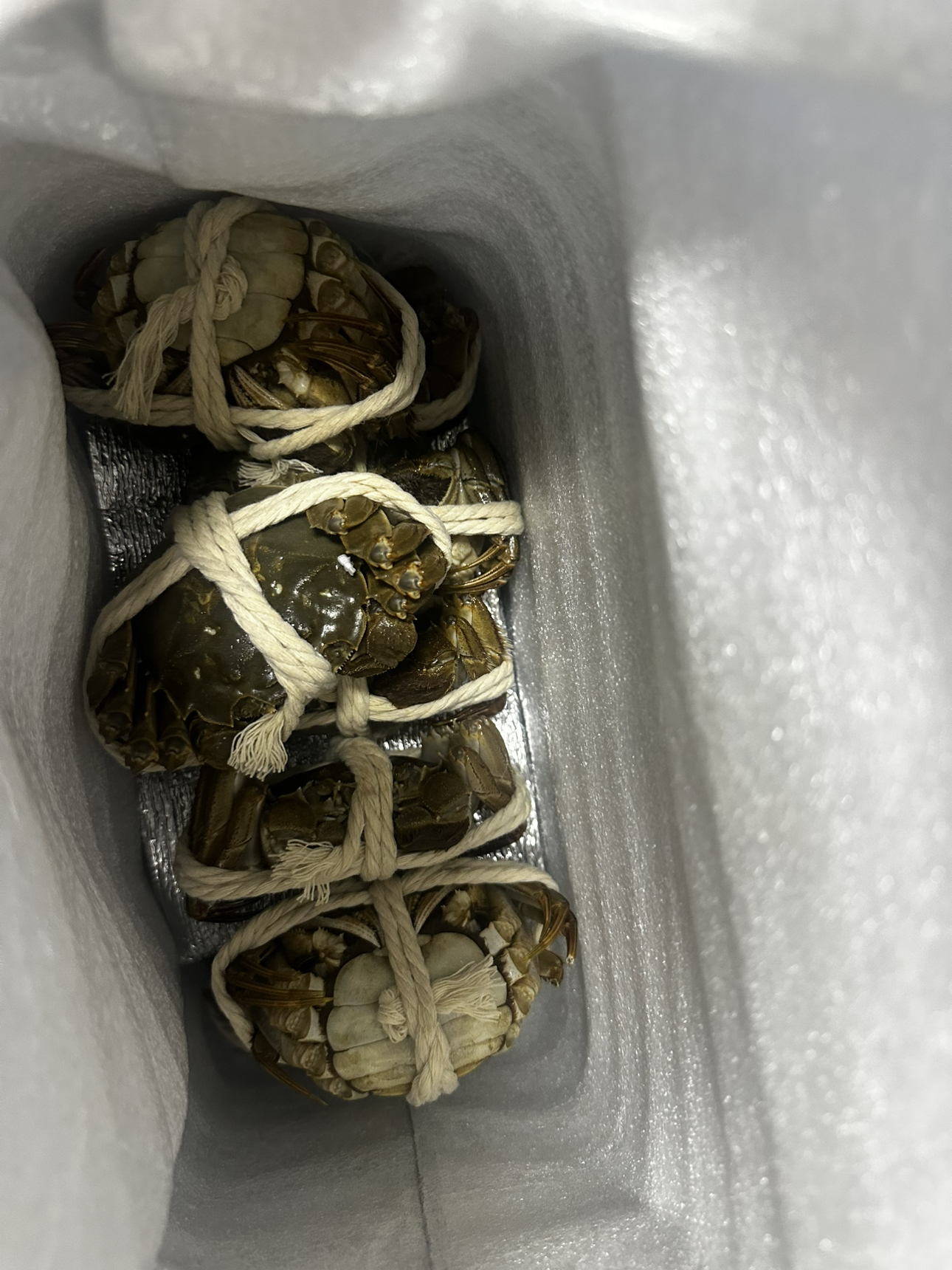 [活蟹]大闸蟹全母2两-2.3两 8只中秋礼盒 去绳足重精品活蟹河蟹鲜活苏州直发晒单图