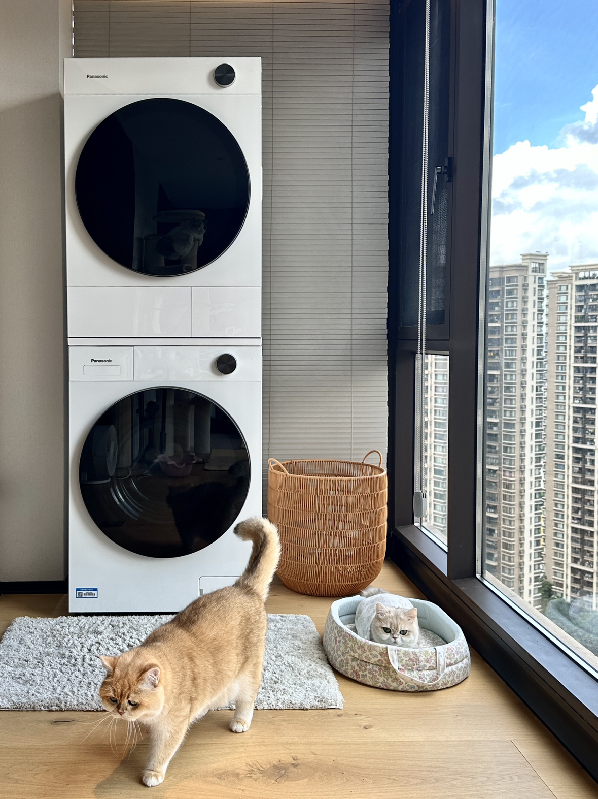 松下白月光4.0 洗烘套装 纯平全嵌 10kg滚筒洗衣机+变频热泵烘干机 除毛洗烘N531T+N531TR晒单图