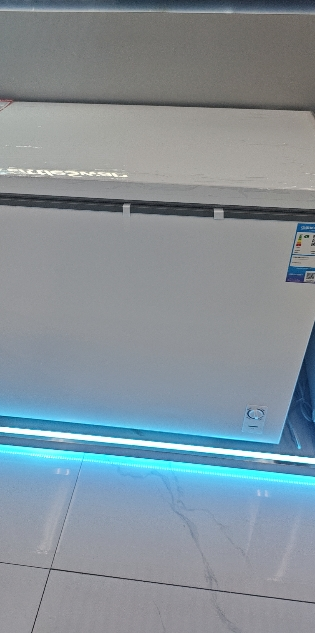 海尔(Haier)303升家用卧式冰柜 冷柜 小冰箱 大冷柜 减霜80% 断电保护 一级能效 303GHPDZ晒单图