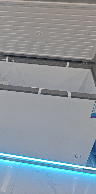 海尔(Haier)303升家用卧式冰柜 冷柜 小冰箱 大冷柜 减霜80% 断电保护 一级能效 303GHPDZ晒单图