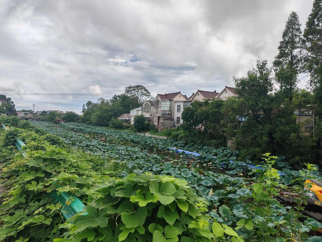 创维43S9 一级能效晒单图