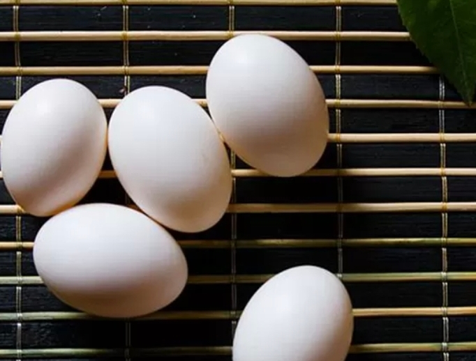 [熊猫鸟]新鲜鸽子蛋 20枚 17-22g/个 农家散养杂粮土鸽蛋白鸽蛋宝宝辅食晒单图