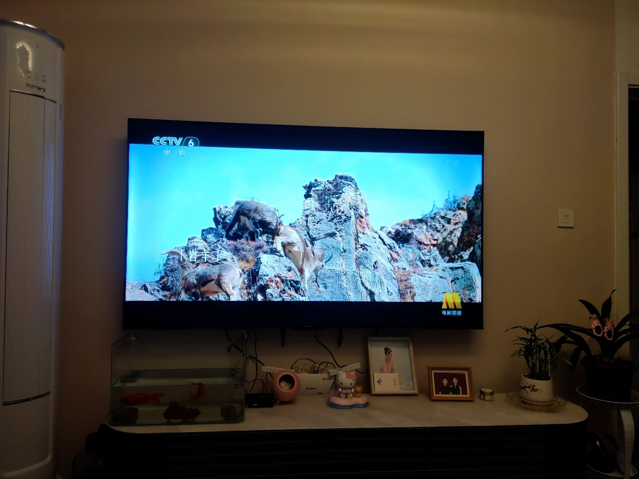 康佳电视 75E8AES 75英寸 2+32GB 144Hz高刷护眼电视 4K超清全面屏投屏 智能语音液晶平板电视机晒单图