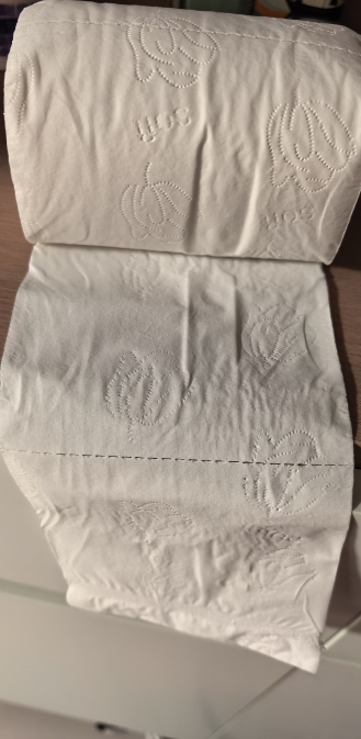 蓝漂本色纸卷纸无芯卷筒纸卫生纸家用厕纸整箱批发实惠装擦手纸巾14卷晒单图