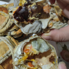 [活蟹]苏州精品大闸蟹全母2.3两-2.6两 8只螃蟹礼盒 去绳足重精品活蟹河蟹鲜活苏州直发晒单图