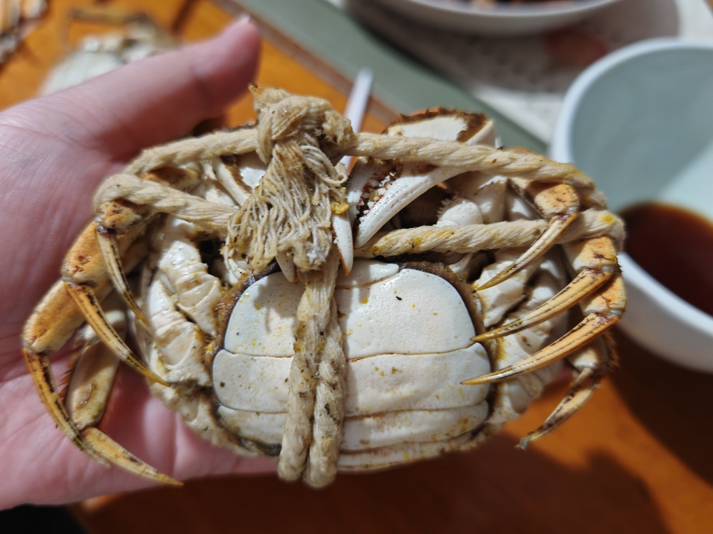 [活蟹]苏州精品大闸蟹全母2.3两-2.6两 8只螃蟹礼盒 去绳足重精品活蟹河蟹鲜活苏州直发晒单图