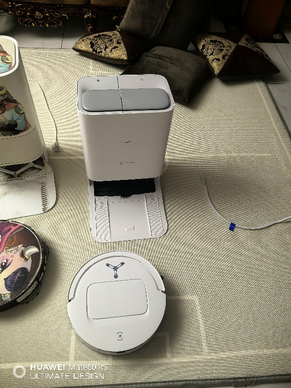 科沃斯新品T80扫地机器人扫拖一体滚筒活洗自动清洗全自动洗地机智能家用 水箱版晒单图