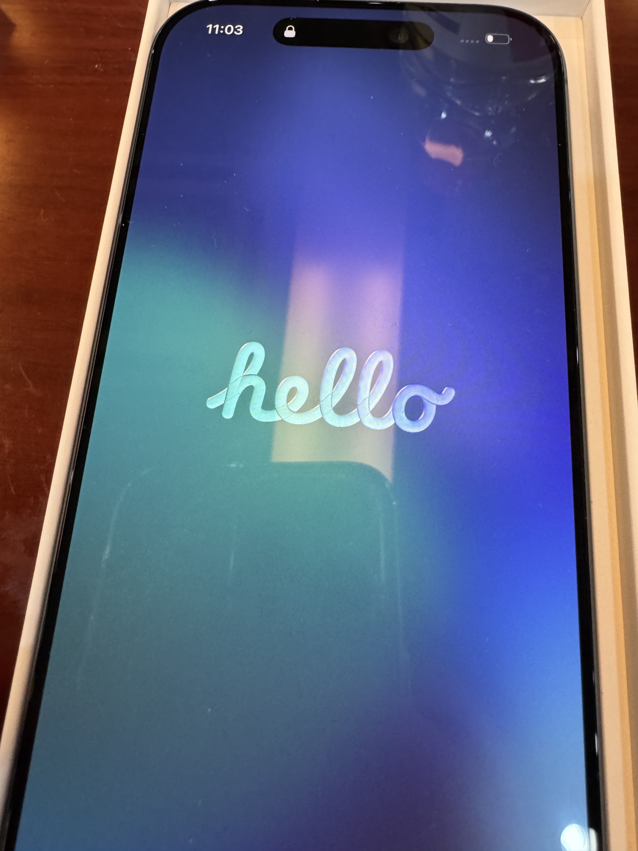 Apple iPhone 17 256G 黑色[需现场签收激活]5G全网通手机 全新正品国行晒单图