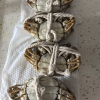 [活蟹]苏州精品大闸蟹全母2.3两-2.6两 8只螃蟹礼盒 去绳足重精品活蟹河蟹鲜活苏州直发晒单图