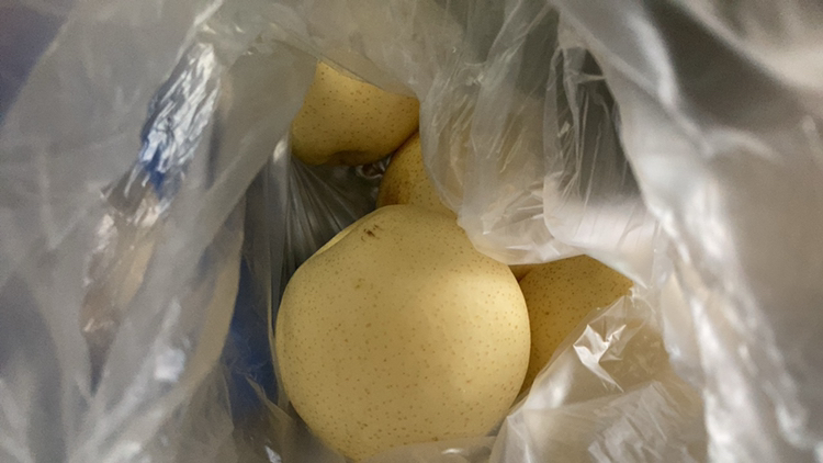 [西沛生鲜]精品皇冠梨 新鲜水果 松脆多汁 净重3斤 单果250g以上晒单图