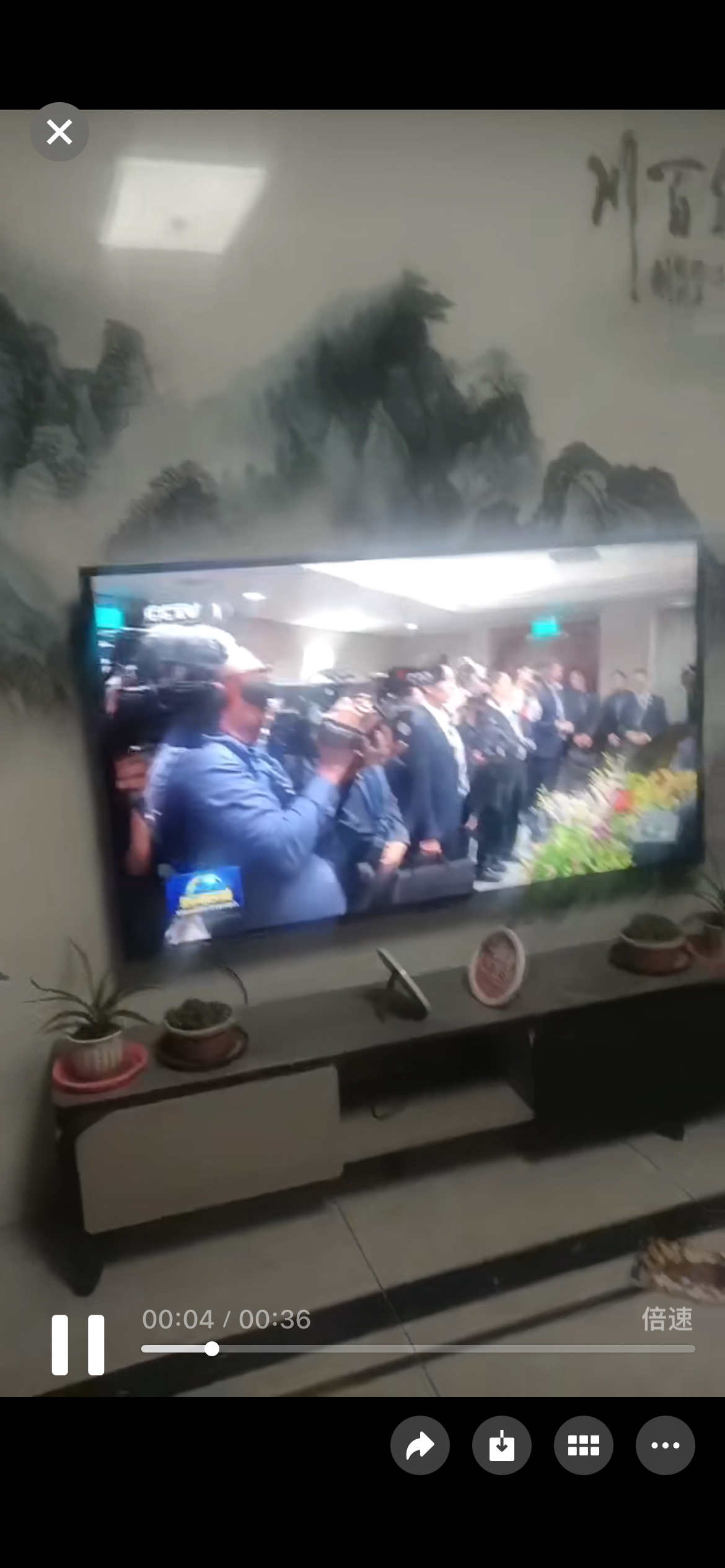 TCL电视 75T5M 75英寸 QD-Mini LED控光 288Hz高刷 QLED量子点 WiFi6 超薄电视晒单图