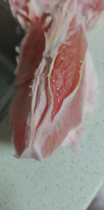 [熊猫鸟]新鲜福建平和三红柚 红心柚 净重4.5-5斤共2个装 新鲜柚子水果 蜜柚晒单图