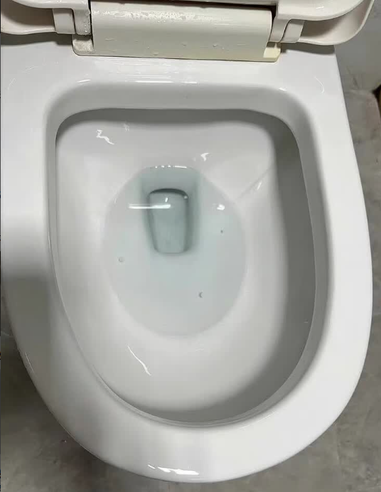 荷丽雅强效洁厕宝YL-134 20KG/桶晒单图