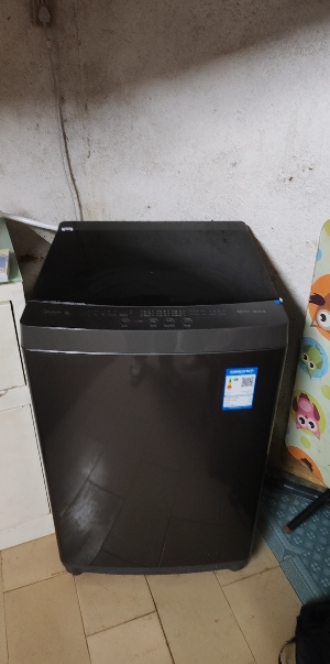 [苏宁自营]美的(Midea)波轮洗衣机全自动家用 MB10V37T 10公斤 一级能效 健康除螨 全域抗菌晒单图