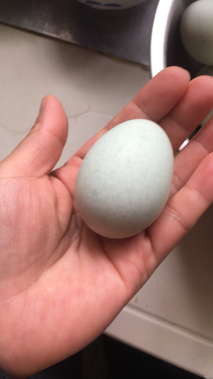 [熊猫鸟]新鲜虫草乌鸡蛋 10枚装 农家散养新鲜正宗草鸡蛋笨柴鸡蛋孕妇月子蛋整箱晒单图