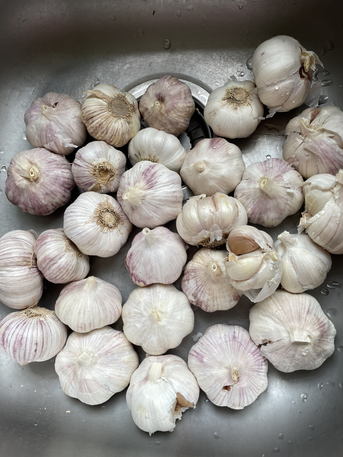 牡丹江镜泊湖黑木耳100g晒单图