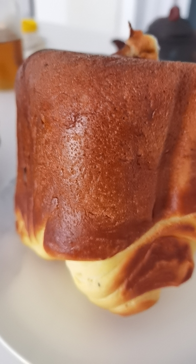 西罗卡面包机全自动烤面包机一体家用多功能揉面机和面发面机吐司机发酵烘焙小型智能早餐机 SB-1D2514方小白晒单图