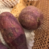 [西沛生鲜]新鲜紫薯 地瓜蔬菜 软糯香甜 净重3斤 中果 单果150-400g晒单图