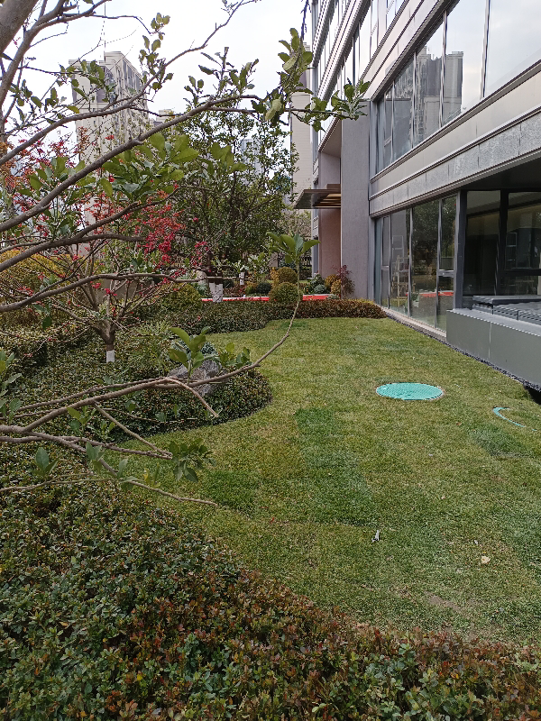 [西沛生鲜]新鲜紫薯 地瓜蔬菜 软糯香甜 净重5斤 中果 单果150-400g晒单图