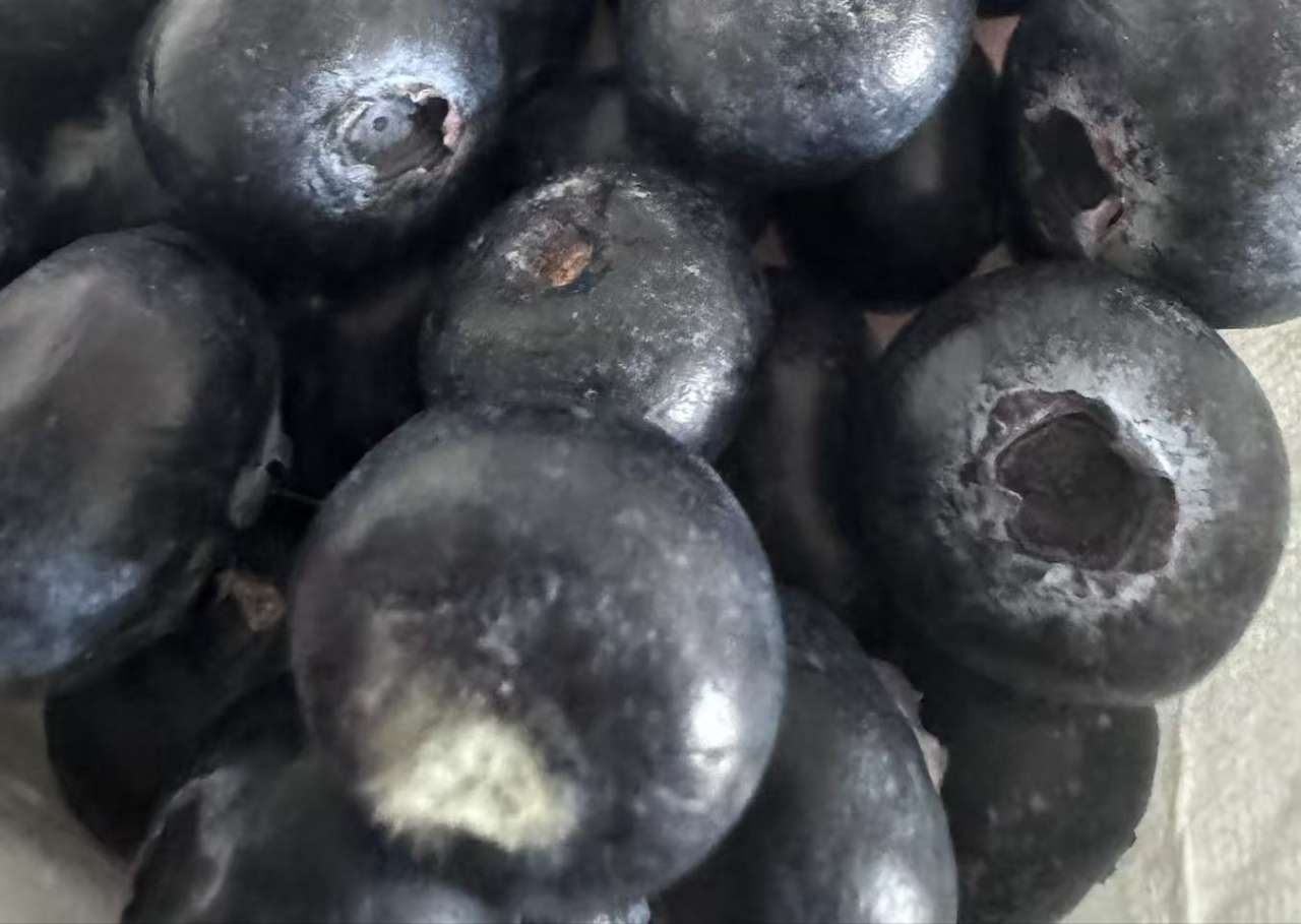 [苏鲜生]顺丰快递 秘鲁进口蓝莓王 个头饱满 4盒 125g/盒 口感甜蜜晒单图