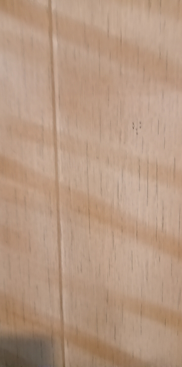 美的电饭煲MB-CFB4065S晒单图