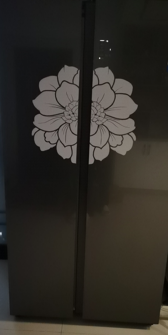 海尔(Haier)539升对开门嵌入冰箱 彩晶一级变频 阻氧干湿分储 DEO净味家用 BCD-539WGHSSE5SL晒单图