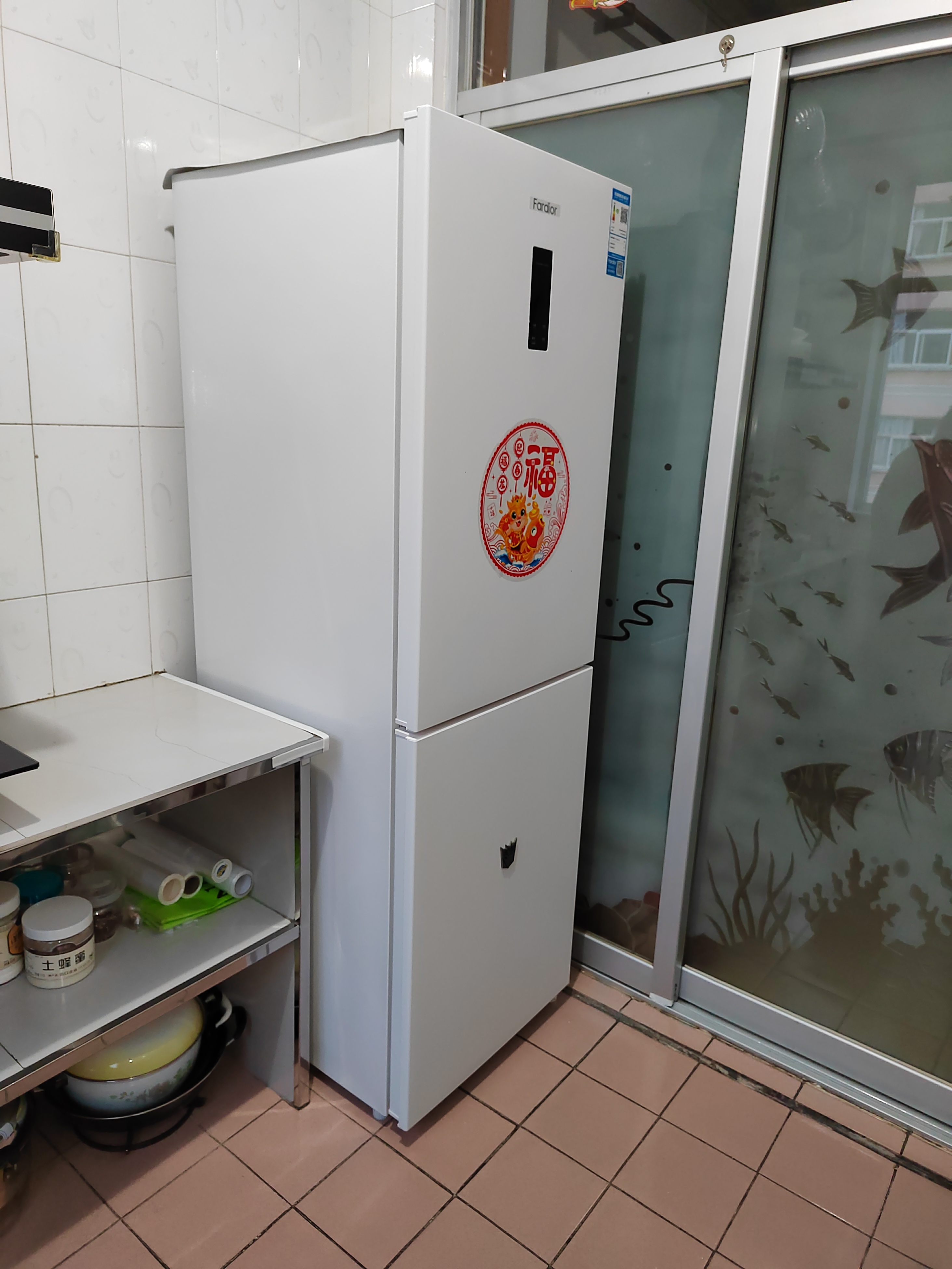 法迪欧双门冰箱BCD-262WBDPL/NC 262升大容量电脑控温左开门四星级节能高效晒单图