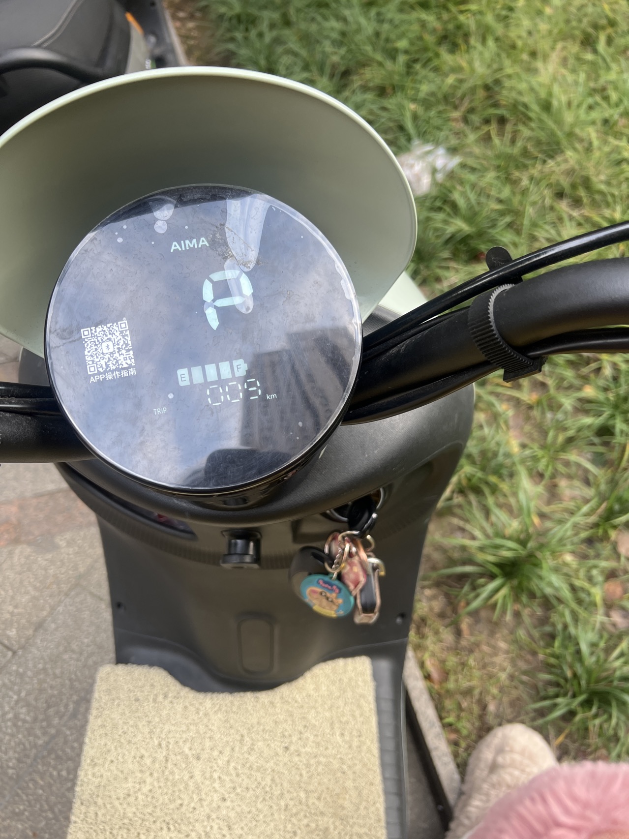 白猫 2.95kg 酵素多效无磷洗衣液 (计价单位:瓶)白色晒单图