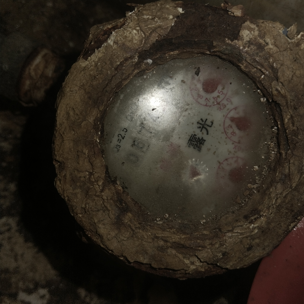 百事可乐 Pepsi 汽水 碳酸饮料 1L*2瓶 (新老包装随机发货) 百事出品晒单图