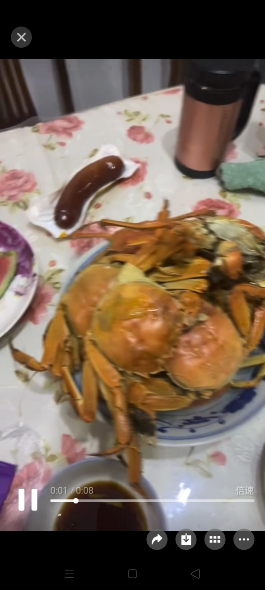 [活蟹]苏州精品大闸蟹螃蟹4两公3两母8只装螃蟹礼盒 精品活蟹河蟹鲜活原产地直发晒单图