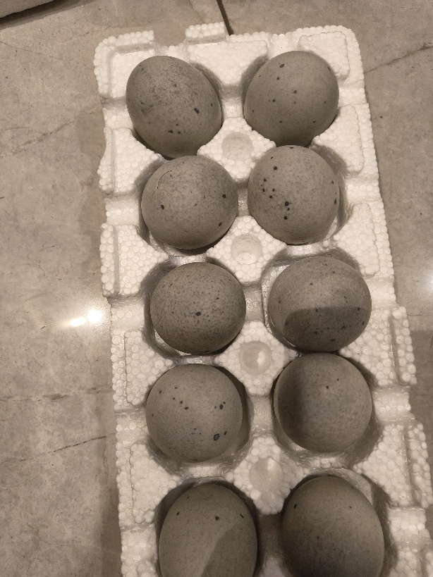 [西沛生鲜]河南特产松花皮蛋 10枚 单枚60-70g 正宗土鸭蛋新鲜腌制溏心皮蛋晒单图