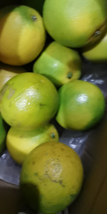 [西沛生鲜]正宗云南青皮冰糖橙 净重5斤 大果 单果70mm左右 新鲜应季水果现摘皮薄多汁清甜晒单图