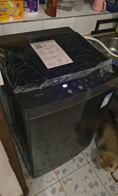 [苏宁自营]美的(Midea)波轮洗衣机全自动家用 MB80V37T 8公斤 升级一级能效 抗菌除螨 专利免清洗晒单图