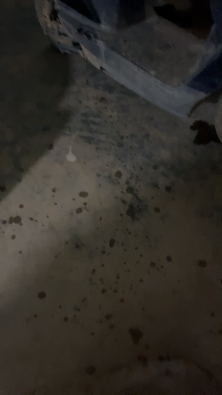 狮王(Lion)NONIO进口清新牙膏柑橘薄荷130g+清凉薄荷130g支去黄去牙渍亮白护龈含氟晒单图