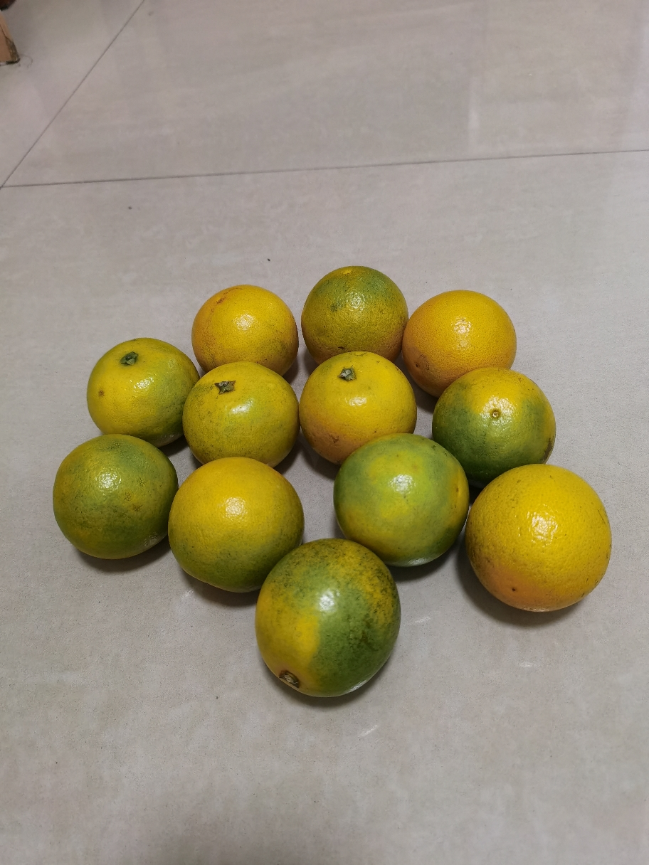 [熊猫鸟]正宗云南冰糖橙 净重5斤 中果 单果65mm左右 哀牢山新鲜应季水果晒单图