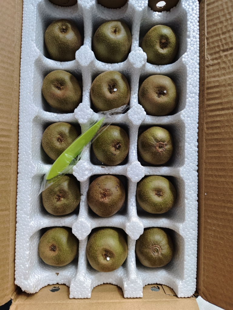 [熊猫鸟]四川红心猕猴桃 15枚装(单果70-90g中果) 猕猴桃奇异果 四川红心猕猴桃晒单图