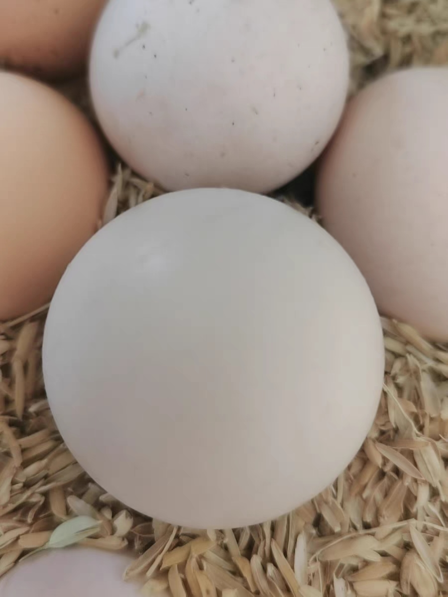 [熊猫鸟]新鲜谷物蛋 20枚装 农家散养新鲜正宗草鸡蛋笨柴鸡蛋孕妇月子蛋整箱晒单图