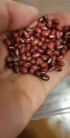 艾谷红小豆1kg晒单图