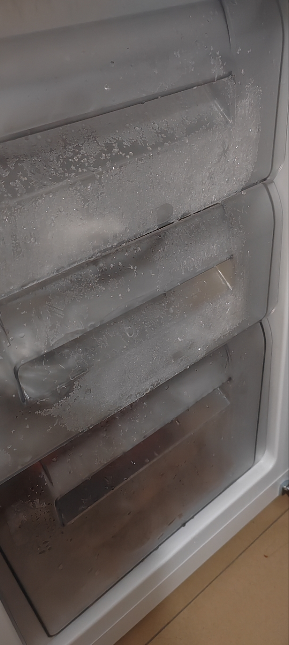 [官方正品]容声186升两门二门双开门宿舍出租房家用电冰箱小型节能省电迷你可冷藏冷冻两用保鲜BCD-186GA1DE晒单图