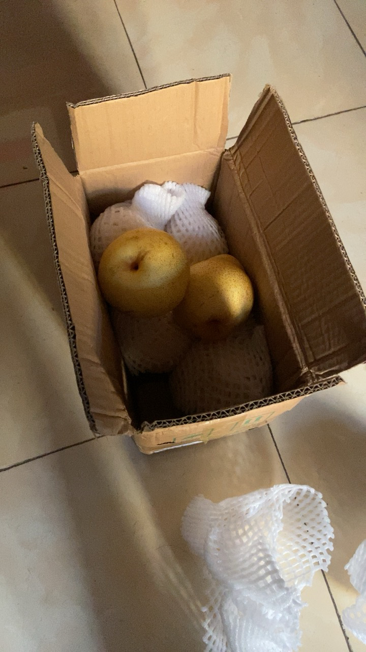 [西沛生鲜]云南新鲜雪花梨 净重5斤 大果 单果200g+ 新鲜脆梨水果当季现摘现发雪花梨孕妇水果头茬新果晒单图